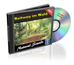Reitweg im Wald